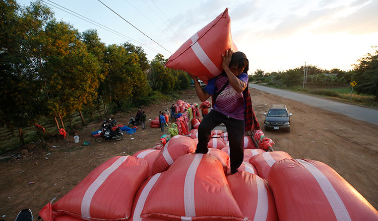 What should be done to fix falling crop prices amid border closure?